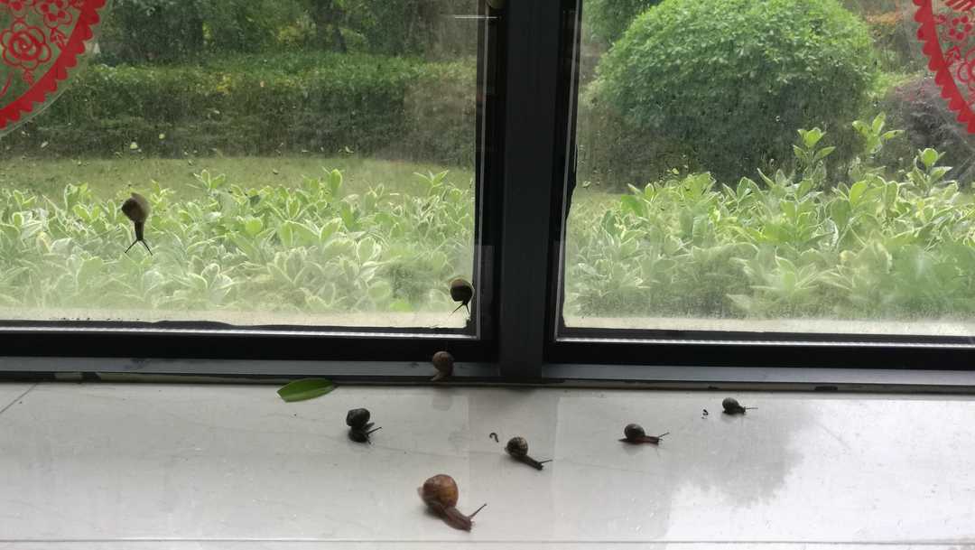 千帆竞渡