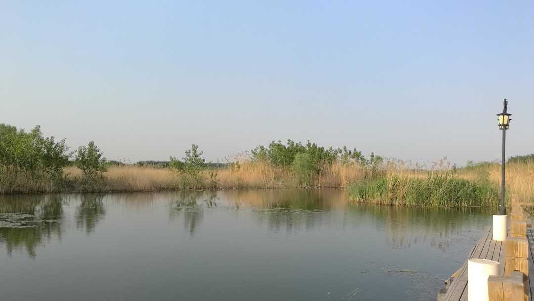 家门口的湿地公园