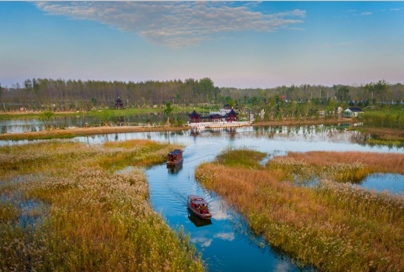 湿地公园秋景