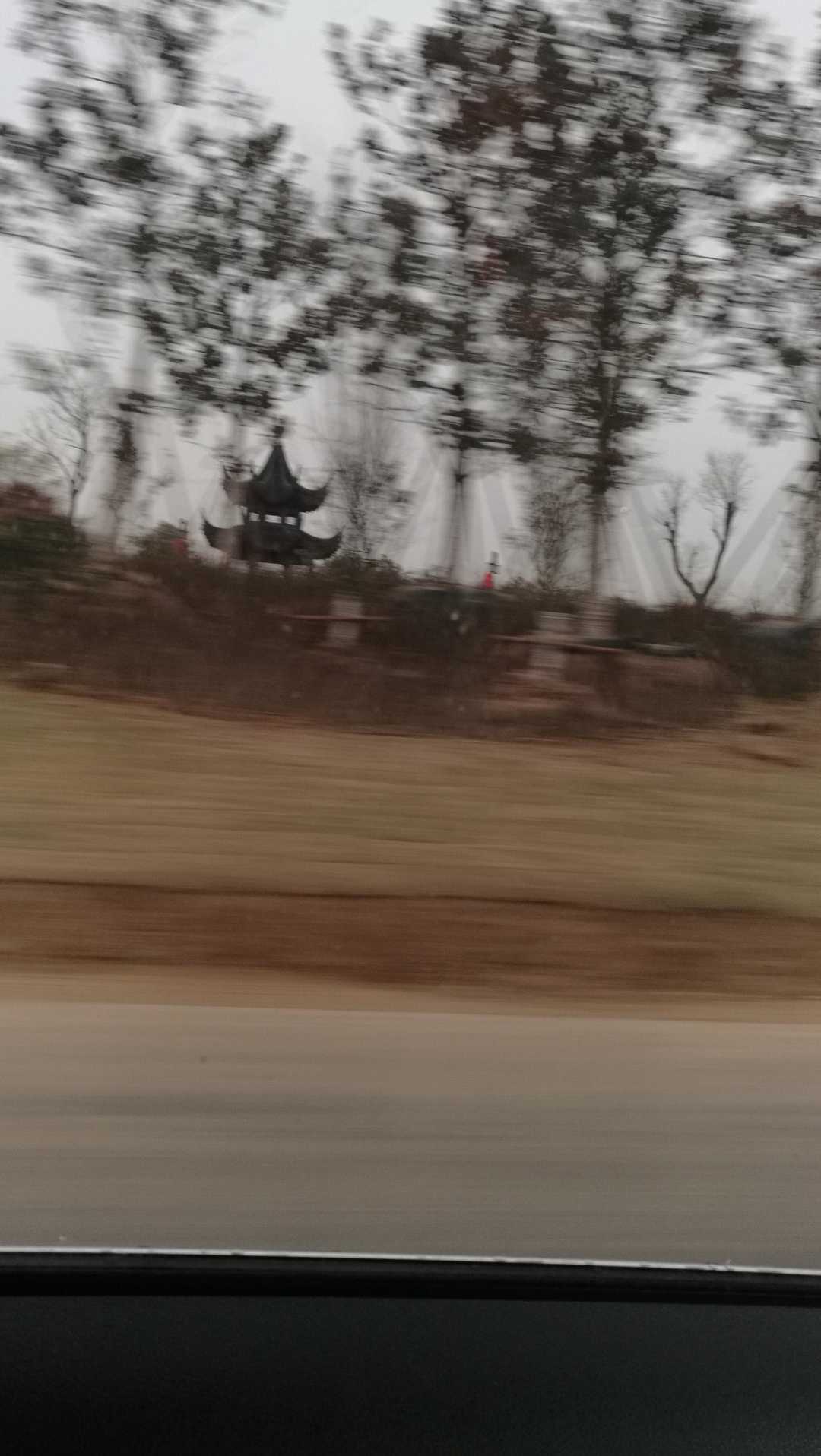 路景渐欲迷人眼