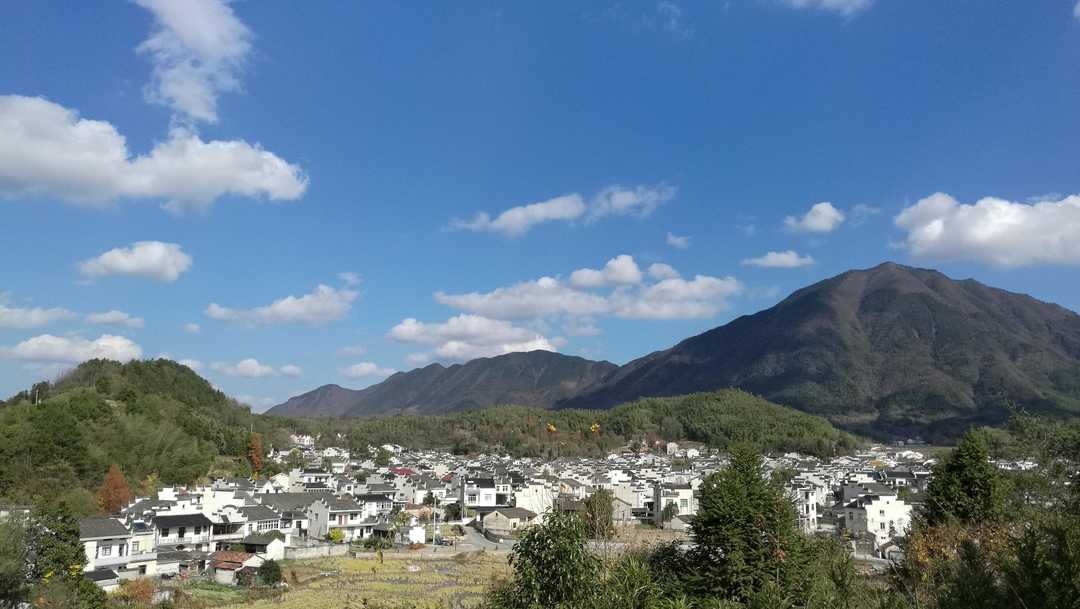 江村全貌