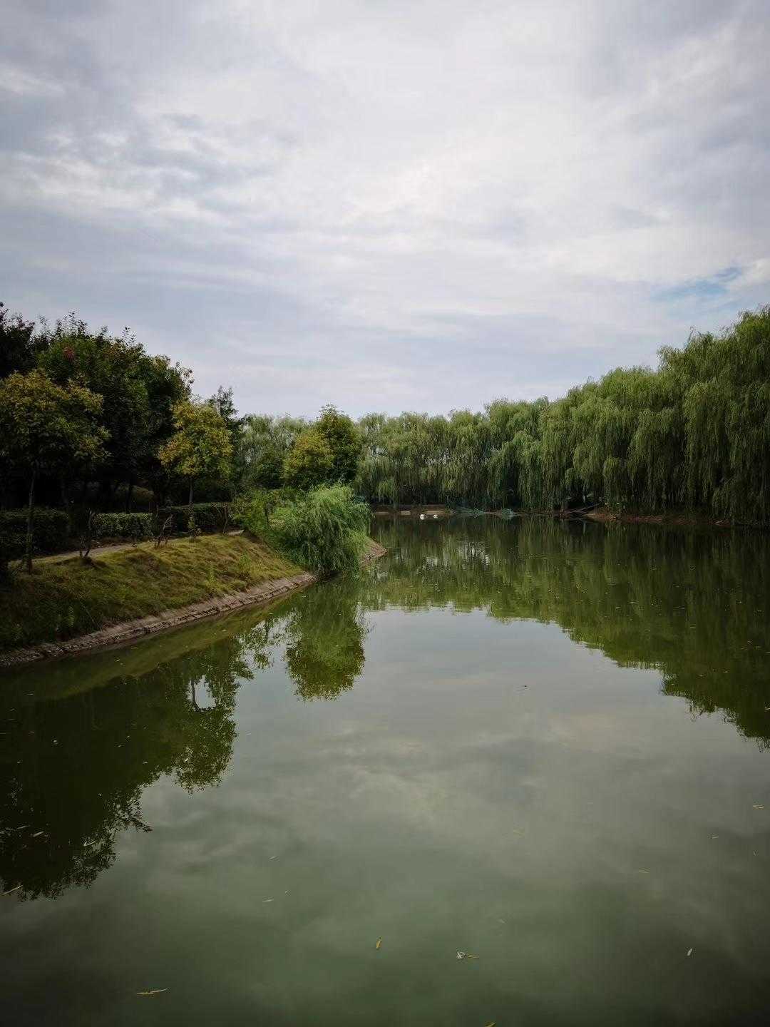 柳岸长河