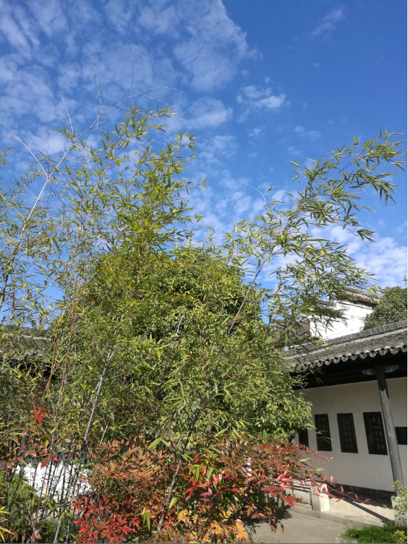碑帖小院