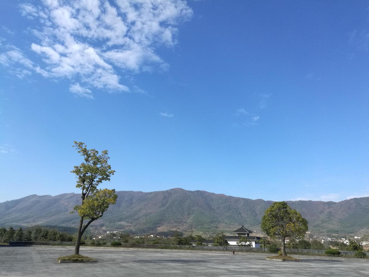 青山一瞥
