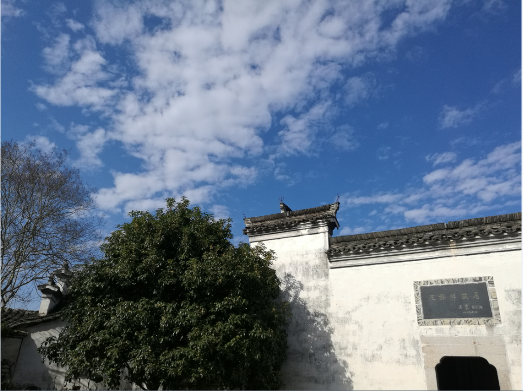 概览